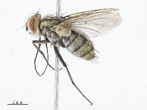  ( - CBG-A10797-B07)  @11 [ ] CreativeCommons - Attribution Share - Alike (2023) CBG Photography Group Centre for Biodiversity Genomics