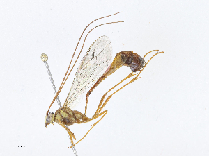  ( - CBG-A10797-D08)  @11 [ ] CreativeCommons - Attribution Share - Alike (2023) CBG Photography Group Centre for Biodiversity Genomics