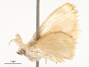  ( - CBG-A53611-E02)  @11 [ ] CreativeCommons - Attribution Share - Alike (2024) CBG Photography Group Centre for Biodiversity Genomics