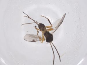  ( - CBG-A53693-B07)  @11 [ ] CreativeCommons - Attribution Share - Alike (2024) Centre for Biodiversity Genomics Centre for Biodiversity Genomics