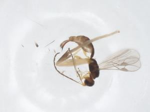  ( - CBG-A55166-F05)  @11 [ ] CreativeCommons - Attribution Share - Alike (2024) Centre for Biodiversity Genomics Centre for Biodiversity Genomics