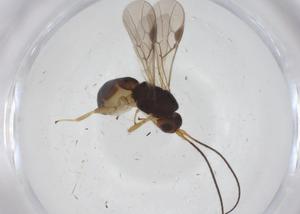  ( - CBG-A56710-D10)  @11 [ ] CreativeCommons - Attribution Share - Alike (2024) Centre for Biodiversity Genomics Centre for Biodiversity Genomics