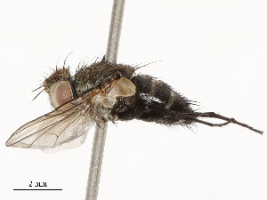  ( - CBG-A54381-E11)  @11 [ ] CreativeCommons - Attribution Share - Alike (2024) CBG Photography Group Centre for Biodiversity Genomics