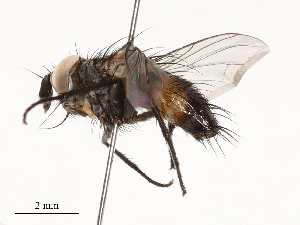  ( - CBG-A54460-F02)  @11 [ ] CreativeCommons - Attribution Share - Alike (2024) CBG Photography Group Centre for Biodiversity Genomics