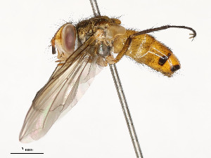  ( - CBG-A54463-A11)  @11 [ ] CreativeCommons - Attribution Share - Alike (2025) CBG Photography Group Centre for Biodiversity Genomics