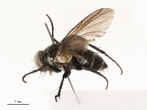  ( - CBG-A54464-B03)  @11 [ ] CreativeCommons - Attribution Share - Alike (2025) CBG Photography Group Centre for Biodiversity Genomics