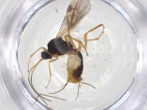  ( - CBG-A56757-B09)  @11 [ ] CreativeCommons - Attribution Share - Alike (2024) Centre for Biodiversity Genomics Centre for Biodiversity Genomics