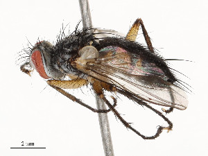  ( - CBG-A58690-B02)  @11 [ ] CreativeCommons - Attribution Share - Alike (2025) CBG Photography Group Centre for Biodiversity Genomics