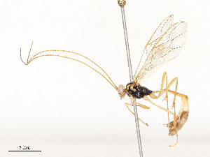  ( - CBG-A58706-C11)  @11 [ ] CreativeCommons - Attribution Share - Alike (2025) CBG Photography Group Centre for Biodiversity Genomics