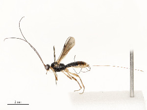  ( - CBG-A59477-F04)  @11 [ ] CreativeCommons - Attribution Share - Alike (2025) CBG Photography Group Centre for Biodiversity Genomics