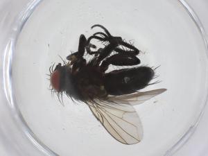  ( - CBG-A60831-E06)  @11 [ ] CreativeCommons - Attribution Share - Alike (2025) Centre for Biodiversity Genomics Centre for Biodiversity Genomics