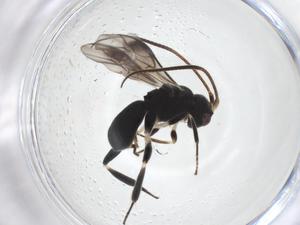  ( - CBG-A40266-H08)  @11 [ ] CreativeCommons - Attribution Share - Alike (2024) Centre for Biodiversity Genomics Centre for Biodiversity Genomics