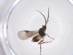  ( - CBG-A40274-F05)  @11 [ ] CreativeCommons - Attribution Share - Alike (2024) Centre for Biodiversity Genomics Centre for Biodiversity Genomics