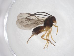  ( - CBG-A40275-F09)  @11 [ ] CreativeCommons - Attribution Share - Alike (2024) Centre for Biodiversity Genomics Centre for Biodiversity Genomics