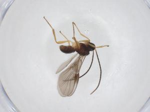  ( - CBG-A40276-D10)  @11 [ ] CreativeCommons - Attribution Share - Alike (2024) Centre for Biodiversity Genomics Centre for Biodiversity Genomics