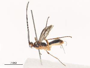  ( - CBG-A51063-F10)  @11 [ ] CreativeCommons - Attribution Share - Alike (2024) CBG Photography Group Centre for Biodiversity Genomics