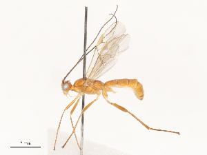  ( - CBG-A51063-G09)  @11 [ ] CreativeCommons - Attribution Share - Alike (2024) CBG Photography Group Centre for Biodiversity Genomics