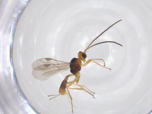  ( - CBG-A52845-F10)  @11 [ ] CreativeCommons - Attribution Share - Alike (2024) Centre for Biodiversity Genomics Centre for Biodiversity Genomics