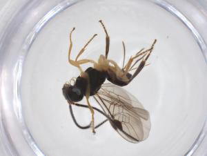  ( - CBG-A52846-E04)  @11 [ ] CreativeCommons - Attribution Share - Alike (2024) Centre for Biodiversity Genomics Centre for Biodiversity Genomics