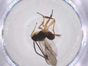  ( - CBG-A52847-E11)  @11 [ ] CreativeCommons - Attribution Share - Alike (2024) Centre for Biodiversity Genomics Centre for Biodiversity Genomics