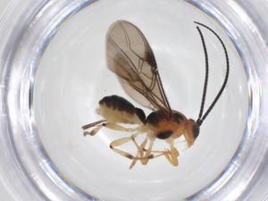  ( - CBG-A52849-E11)  @11 [ ] CreativeCommons - Attribution Share - Alike (2024) Centre for Biodiversity Genomics Centre for Biodiversity Genomics