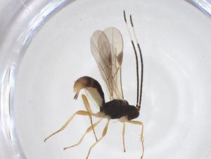  ( - CBG-A52849-F05)  @11 [ ] CreativeCommons - Attribution Share - Alike (2024) Centre for Biodiversity Genomics Centre for Biodiversity Genomics