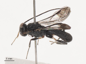  ( - CCDB-31606-H04)  @11 [ ] CreativeCommons - Attribution Share - Alike (2024) CBG Photography Group Centre for Biodiversity Genomics