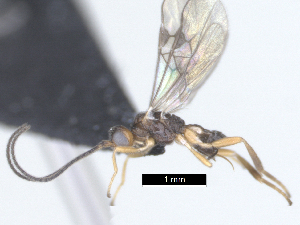  ( - MJS0388.4)  @11 [ ] CreativeCommons - Attribution Share - Alike (2024) Michael Sharkey University of Kentucky