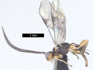  ( - MJS0388.6)  @11 [ ] CreativeCommons - Attribution Share - Alike (2024) Michael Sharkey University of Kentucky