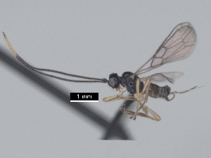  ( - MJS0389.2)  @11 [ ] CreativeCommons - Attribution Share - Alike (2024) Michael Sharkey University of Kentucky