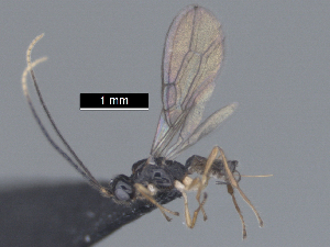  ( - MJS0392.5)  @11 [ ] CreativeCommons - Attribution Share - Alike (2024) Michael Sharkey University of Kentucky