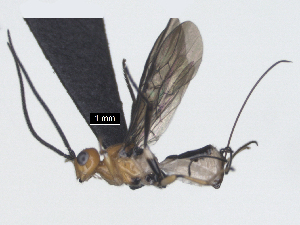  ( - MJS0395.2)  @11 [ ] CreativeCommons - Attribution Share - Alike (2024) Michael Sharkey University of Kentucky