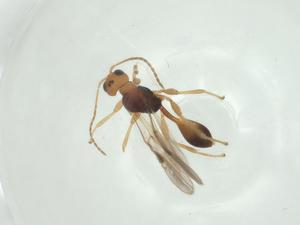  ( - CBG-A32745-C08)  @11 [ ] CreativeCommons - Attribution Share - Alike (2024) Centre for Biodiversity Genomics Centre for Biodiversity Genomics