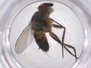  ( - CBG-A66889-E01)  @11 [ ] CreativeCommons - Attribution Share - Alike (2025) Centre for Biodiversity Genomics Centre for Biodiversity Genomics