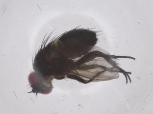  ( - CBG-A66945-B09)  @11 [ ] CreativeCommons - Attribution Share - Alike (2025) Centre for Biodiversity Genomics Centre for Biodiversity Genomics