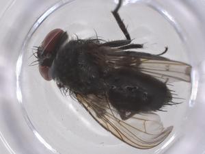  ( - CBG-A67328-G10)  @11 [ ] CreativeCommons - Attribution Share - Alike (2025) Centre for Biodiversity Genomics Centre for Biodiversity Genomics