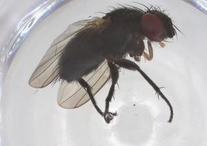  ( - CBG-A67336-E04)  @11 [ ] CreativeCommons - Attribution Share - Alike (2025) Centre for Biodiversity Genomics Centre for Biodiversity Genomics