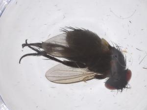  ( - CBG-A67602-A04)  @11 [ ] CreativeCommons - Attribution Share - Alike (2025) Centre for Biodiversity Genomics Centre for Biodiversity Genomics