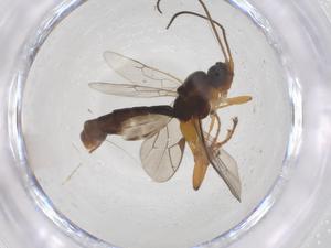  ( - CBG-A67720-B08)  @11 [ ] CreativeCommons - Attribution Share - Alike (2025) Centre for Biodiversity Genomics Centre for Biodiversity Genomics