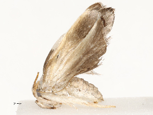  ( - CBG-A67905-H05)  @11 [ ] CreativeCommons - Attribution Share - Alike (2025) CBG Photography Group Centre for Biodiversity Genomics