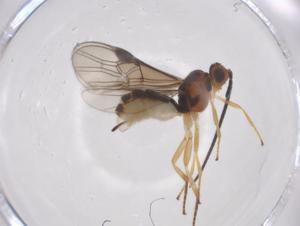  ( - CBG-A67535-G07)  @11 [ ] CreativeCommons - Attribution Share - Alike (2025) Centre for Biodiversity Genomics Centre for Biodiversity Genomics