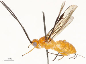  ( - CBG-A67806-C08)  @11 [ ] CreativeCommons - Attribution Share - Alike (2025) CBG Photography Group Centre for Biodiversity Genomics