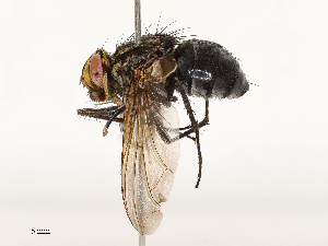  ( - CBG-A67826-B10)  @11 [ ] CreativeCommons - Attribution Share - Alike (2025) CBG Photography Group Centre for Biodiversity Genomics