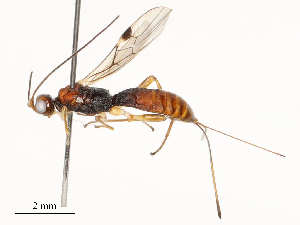  ( - CBG-A67898-E04)  @11 [ ] CreativeCommons - Attribution Share - Alike (2025) CBG Photography Group Centre for Biodiversity Genomics