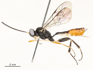  ( - CBG-A67898-E09)  @11 [ ] CreativeCommons - Attribution Share - Alike (2025) CBG Photography Group Centre for Biodiversity Genomics