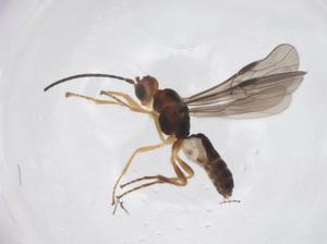  ( - CBG-A68218-E07)  @11 [ ] CreativeCommons - Attribution Share - Alike (2025) Centre for Biodiversity Genomics Centre for Biodiversity Genomics