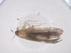  ( - CBG-A68337-F05)  @11 [ ] CreativeCommons - Attribution Share - Alike (2025) Centre for Biodiversity Genomics Centre for Biodiversity Genomics