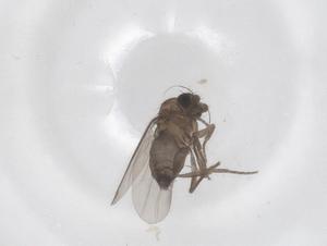  ( - CBG-A68636-D06)  @11 [ ] CreativeCommons - Attribution Share - Alike (2025) Centre for Biodiversity Genomics Centre for Biodiversity Genomics