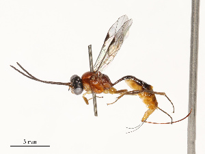  ( - CBG-B12677-D05)  @11 [ ] CreativeCommons - Attribution Share - Alike (2025) CBG Photography Group Centre for Biodiversity Genomics