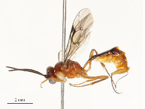  ( - CBG-B13905-D10)  @11 [ ] CreativeCommons - Attribution Share - Alike (2025) CBG Photography Group Centre for Biodiversity Genomics